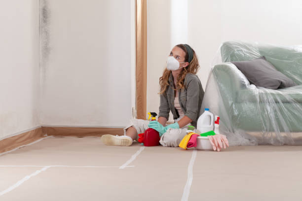 Reliable Attic Mold Removal contractor in Blue Bell, PA by WQB Mold Removal